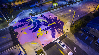Fern and Tamarind Intersection photo