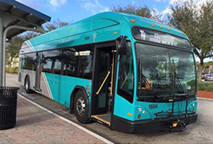 Palm Tran Bus